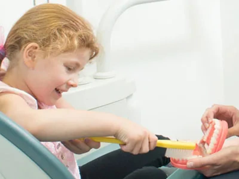 Dengie Care Providers - In-Home Care in Chelmsford, England photo 3