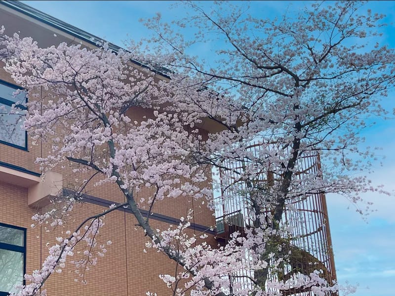 あおぞらの里　薬円台ケアプランセンター - 有料老人ホーム in 船橋市, 千葉県 photo 5