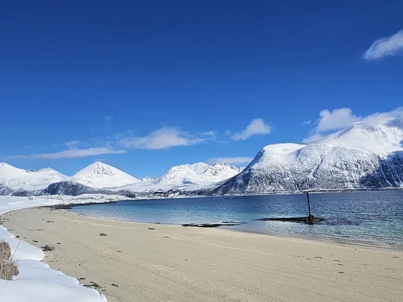 Dagsenter Kvaløya - Dagaktivitet for voksne in Tromsø, Troms og Finnmark photo 3