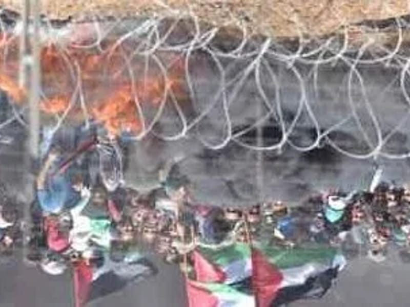 HOGAR GERIATRICO TIFERET - Hogar de Ancianos in Ituzaingo, Moron photo 1