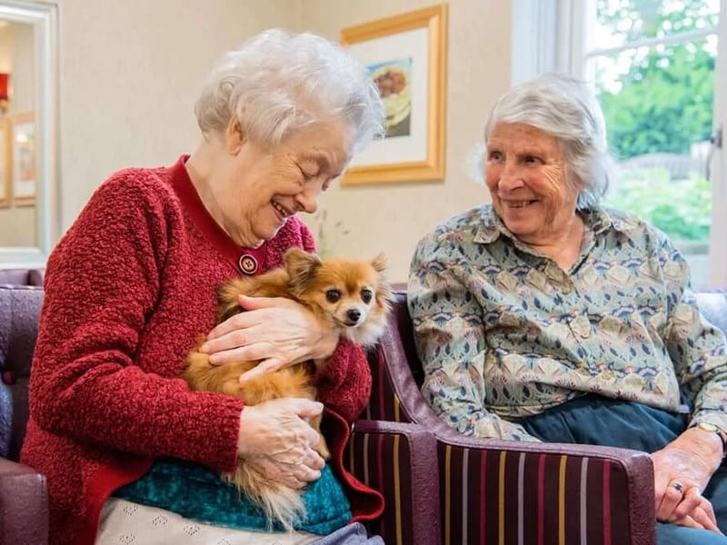 Charismashape Care Ltd - In-Home Care in Isleworth, England photo 2