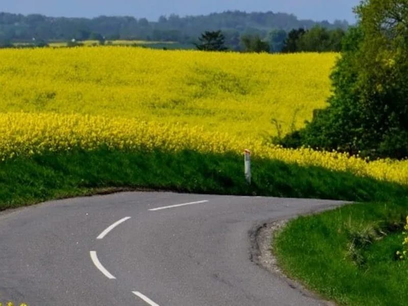 Aftenvagt Ortved - Plejehjem in Ringsted, Region Sjaelland photo 2