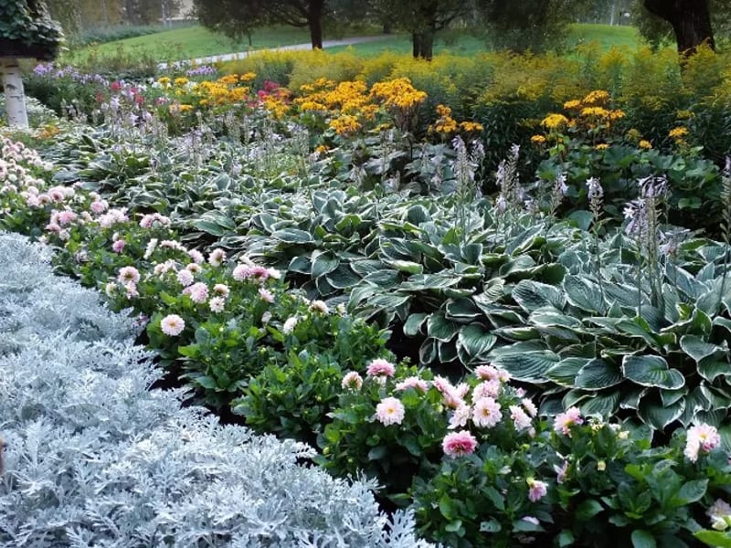 Stadsparken hemtjänst - Hemtjänst in Sandviken, Gävleborgs län photo 2