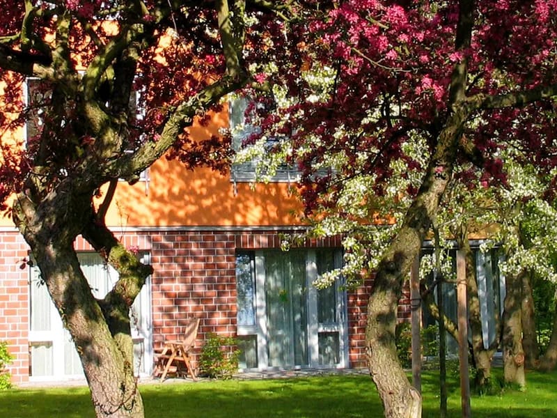 ASB Seniorenheim "Am Park" - Pflegeheim in Böhlen, Sachsen photo 2