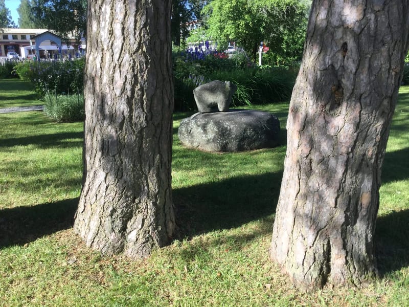 Pietarinpirtti - Palveluasuminen in Mikkeli, Etelä-Savo photo 1