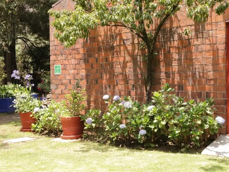 CASA DEL ADULTO MAYOR - Hogar de Ancianos in Cuajimalpa De Morelos, Ciudad de México photo 2