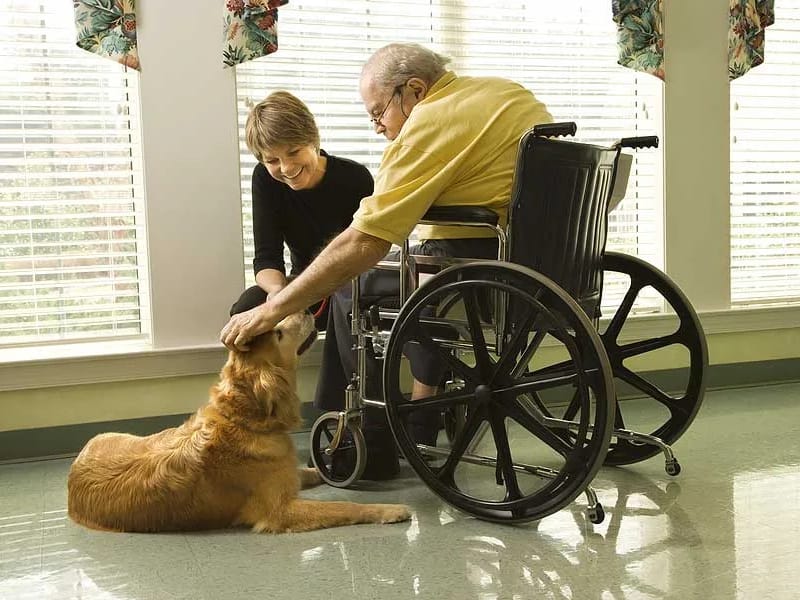 Birchview Gardens Assisted Lvg - Assisted Living in Hackensack, MN photo 1