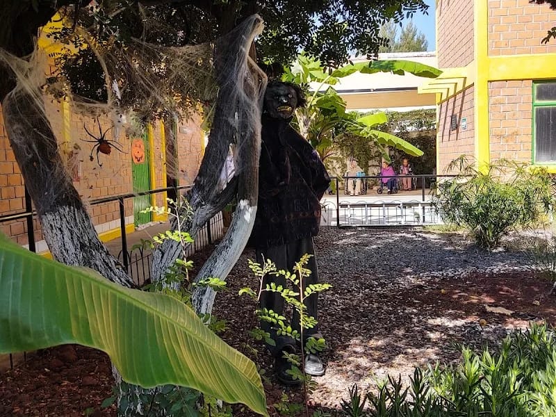 REUNION DE ADULTOS MAYORES LO QUE EL VIENTO SE LLEVO - Hogar de Ancianos in Aguascalientes, Aguascalientes photo 5