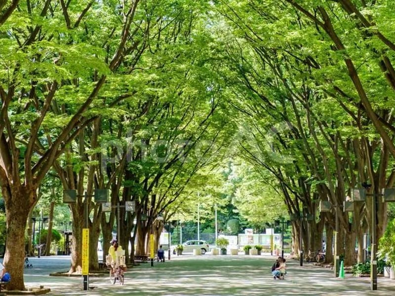 アリア馬事公苑 - 有料老人ホーム in 世田谷区, 東京都 photo 1