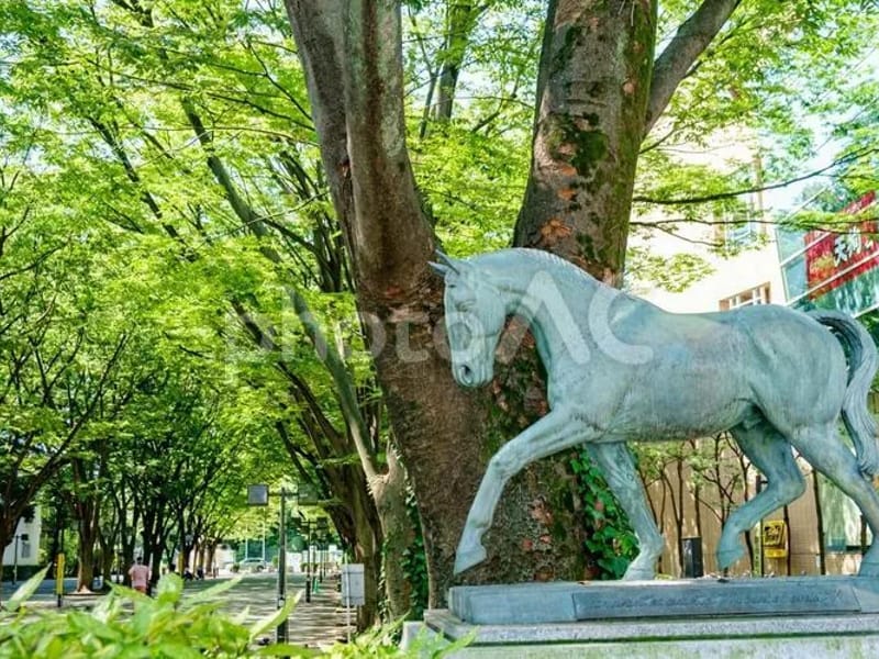 アリア馬事公苑 - 有料老人ホーム in 世田谷区, 東京都 photo 2
