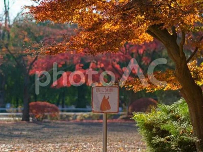 アリア馬事公苑 - 有料老人ホーム in 世田谷区, 東京都 photo 3
