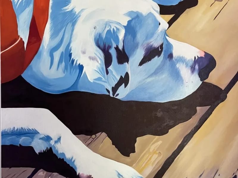 Beyea Care Ltd - In-Home Care in Ipswich, England photo 2