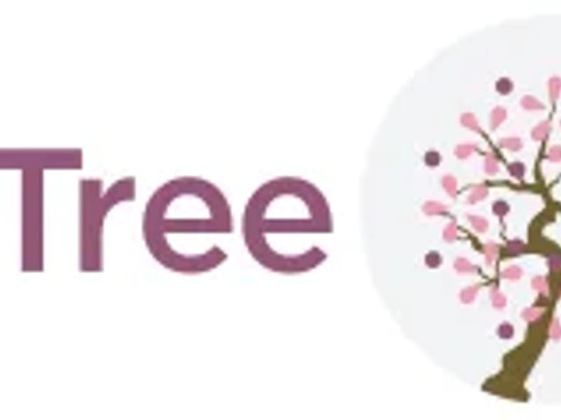 Cherry Tree Care Centre - Nursing Home in Stockton-On-Tees, England photo 2