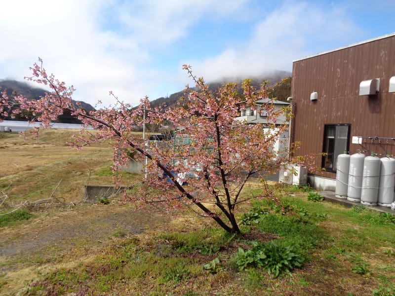 オーネスト紫季桜指定短期入所生活介護事業所 - 有料老人ホーム in 名古屋市北区, 愛知県 photo 2