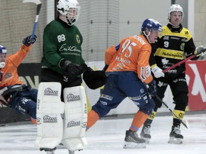 Bollnäs Söder - Äldreboende in Bollnäs, Gavleborg County photo 2