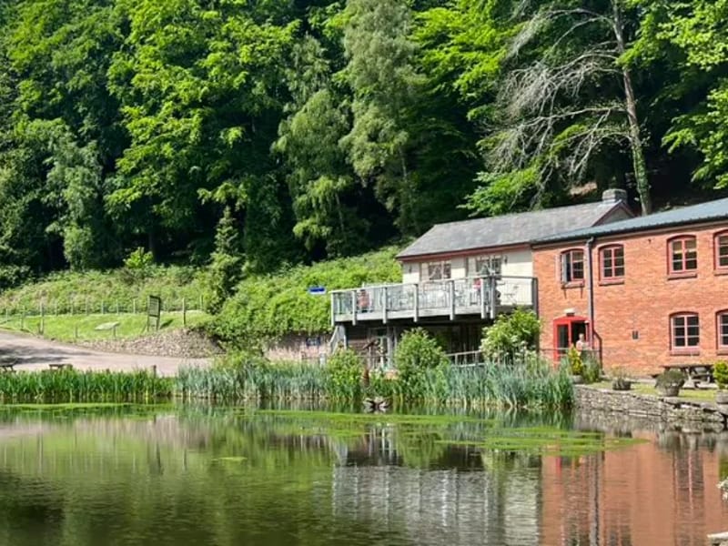 Crossroads Care - Forest of Dean and Herefordshire - In-Home Care in Cinderford, England photo 2