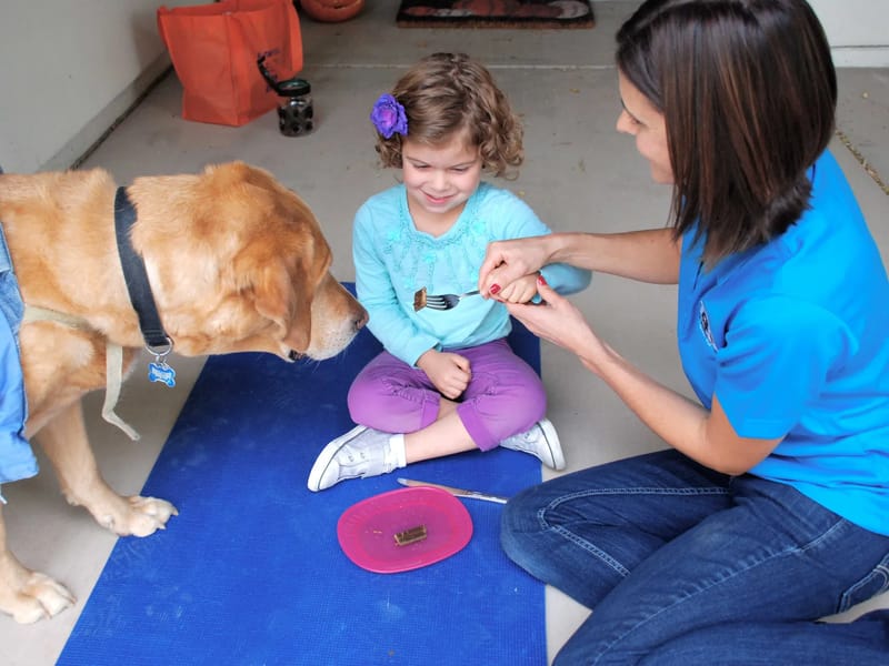 Discovery Therapy, LLC - Home Health Nursing in Gilbert, AZ photo 3