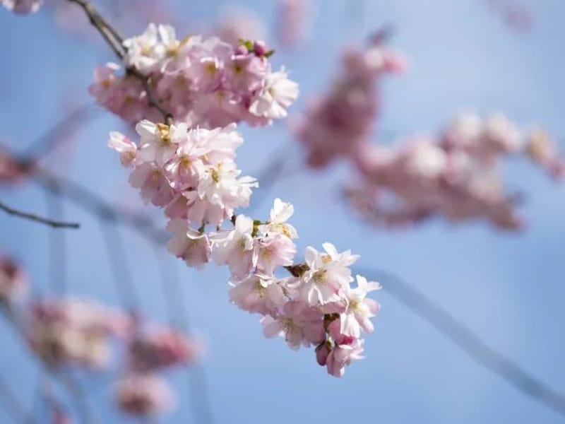 Htj Sandhult - Hemtjänst in Borås, Västra Götalands län photo 2