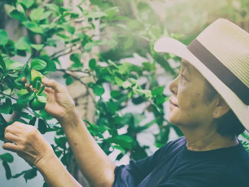 ABLE CARE HOME HEALTH - Home Health Nursing in Montgomery, AL photo 1