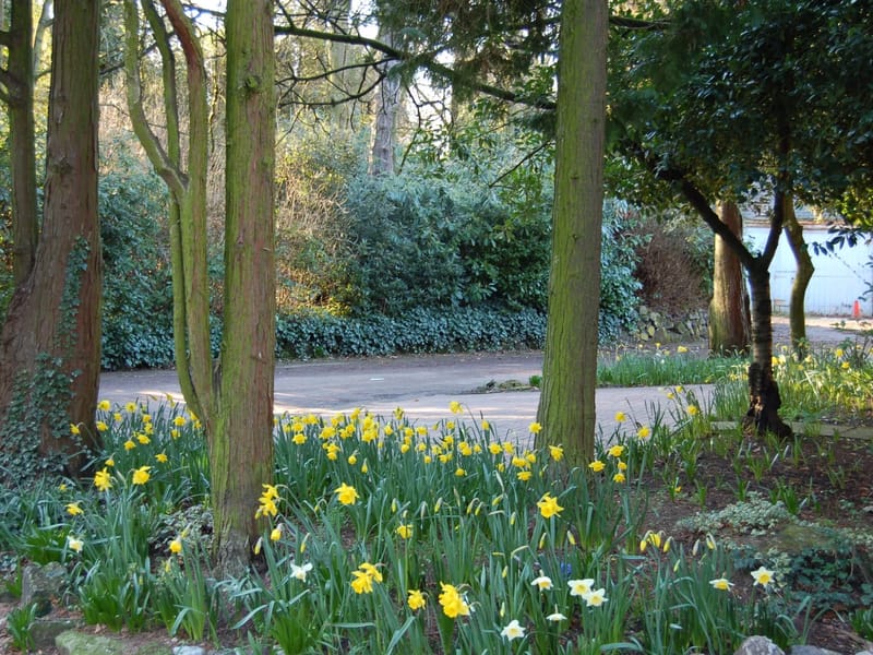 Aldridge Court Nursing Home - Nursing Home in Walsall, England photo 1