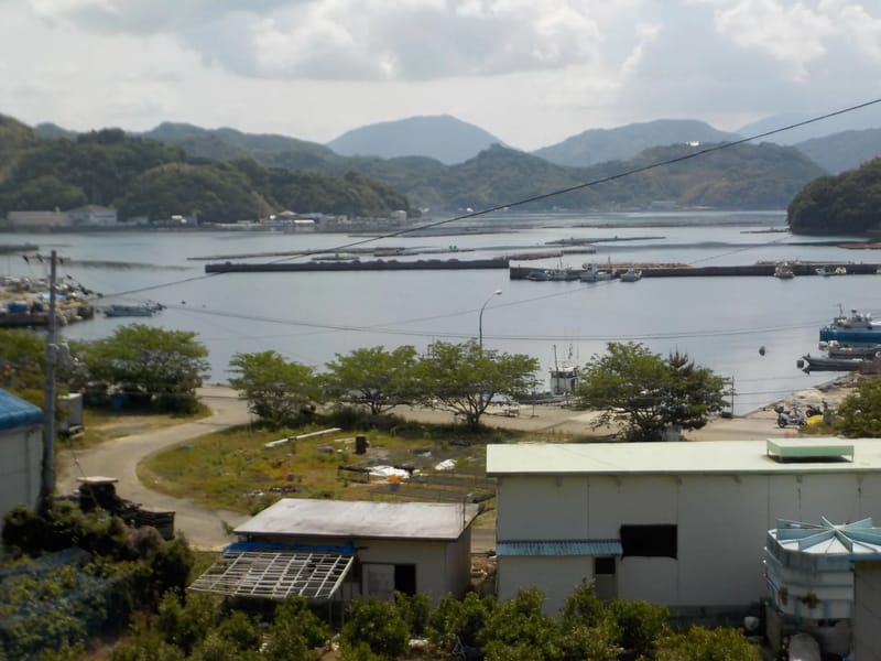 7つの扉 - デイサービス in 宇和島市, 愛媛県 photo 2