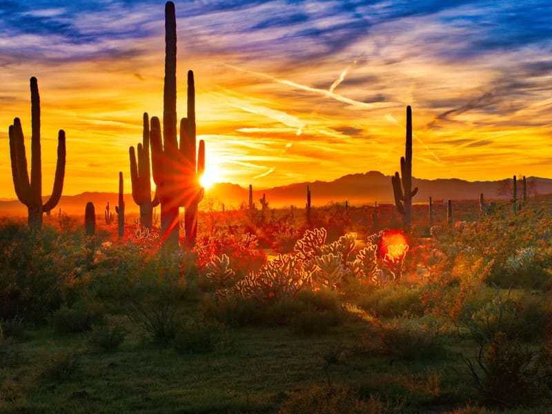 A Touch Of Desert Class - Assisted Living in Phoenix, AZ photo 2