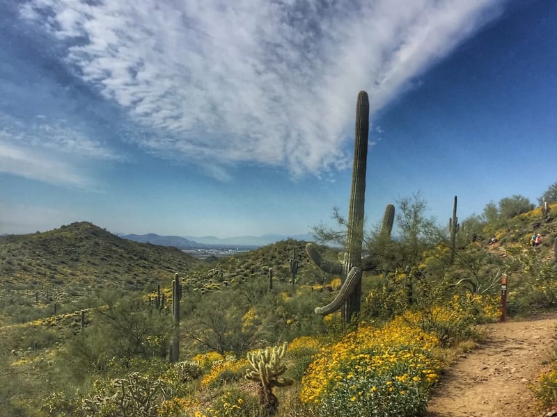 A Touch Of Desert Class - Assisted Living in Phoenix, AZ photo 1
