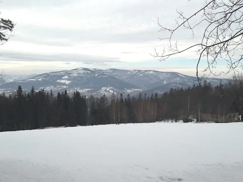 Województwo Śląskie - Dom pomocy społecznej in Wilkowice, Wilkowice photo 2