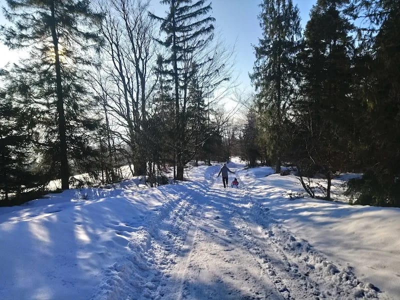 Województwo Śląskie - Dom pomocy społecznej in Wilkowice, Wilkowice photo 4