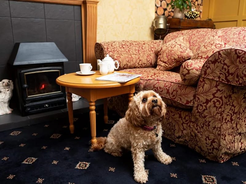 Lonsdale House - Nursing Home in Walsall, England photo 5