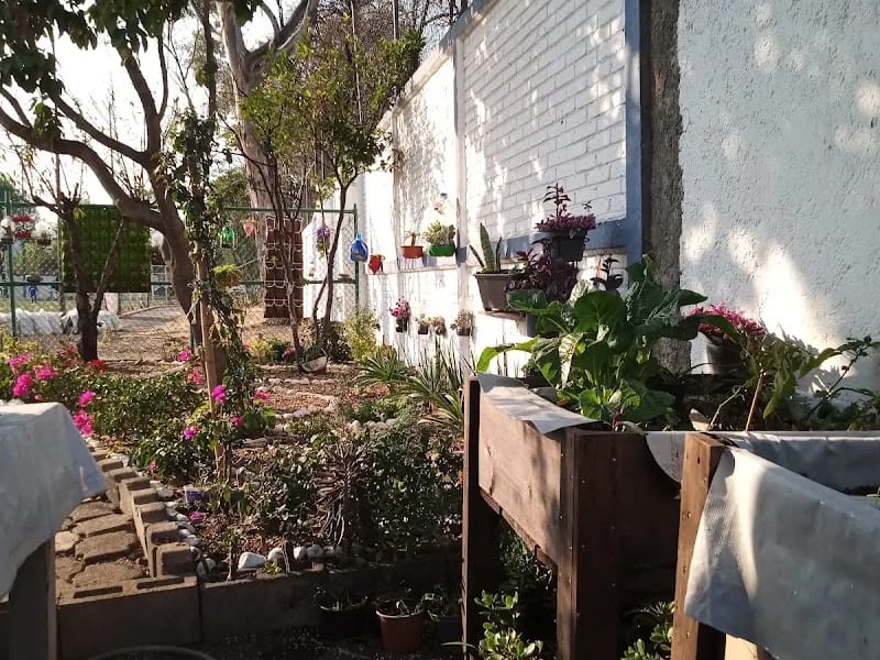 Construyendo Un Espacio Para El Esparcimiento Del Adulto Mayor - Hogar de Ancianos in Cuauhtémoc, Ciudad de México photo 9