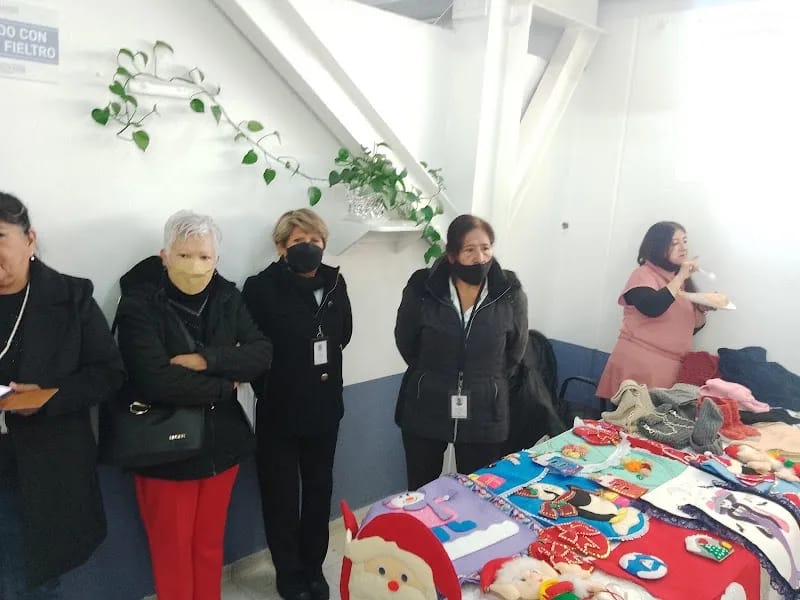 Construyendo Un Espacio Para El Esparcimiento Del Adulto Mayor - Hogar de Ancianos in Cuauhtémoc, Ciudad de México photo 8