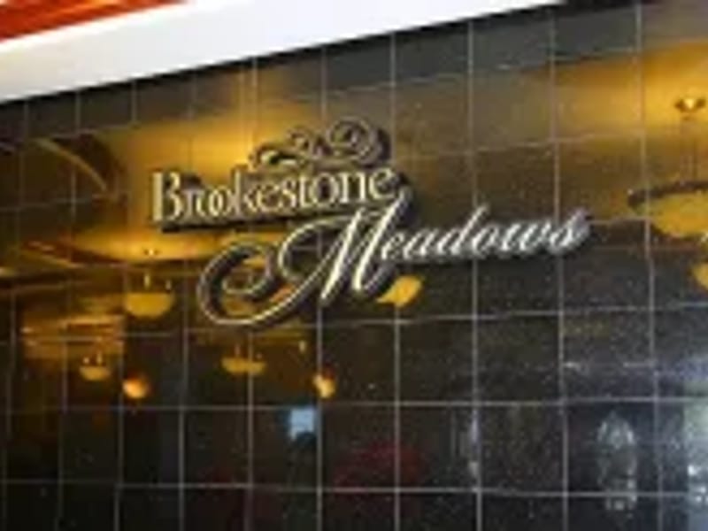 Brookestone Meadows Rehabilitation and Care Center - Nursing Home in Elkhorn, NE photo 3