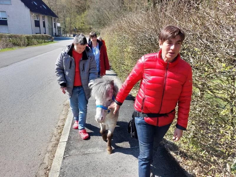 Aktiv Leben Der Pflegepartner - Häusliche Pflege in Hagen, Nordrhein-Westfalen photo 3