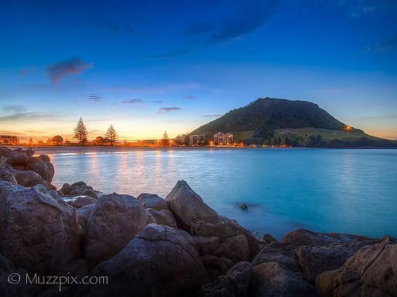 Metlifecare Somervale - Assisted Living in Mount Maunganui, Bay of Plenty District Health Board photo 1