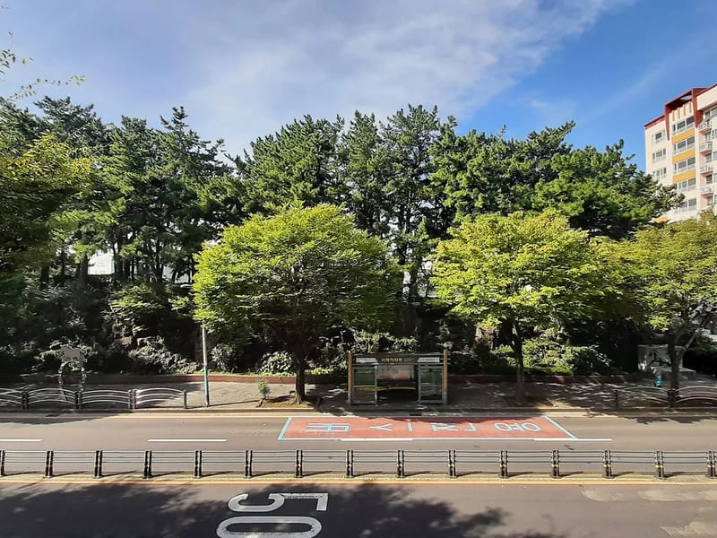 새봄노인복지센터 - 요양원 in 제주시, 제주특별자치도 photo 1