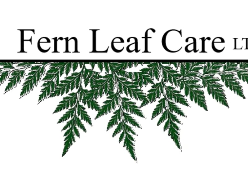 Fern Leaf Carehome Limited - Assisted Living in Ilford, England photo 3