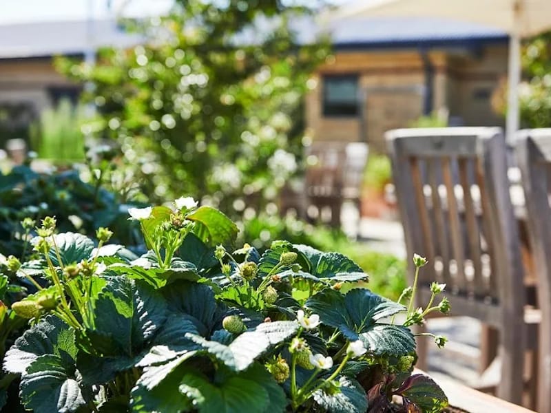 Calvary St Judes - Nursing Home in Narre Warren North, VIC photo 9