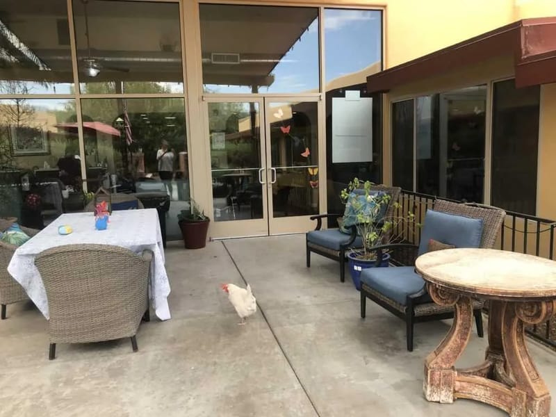Fairmount Assisted Living, Llc - Assisted Living in Tucson, AZ photo 3