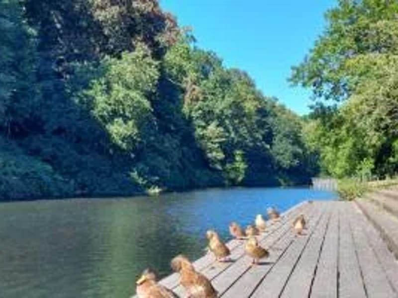 Nieuw Kerkelanden Oude Haven - Begeleid Wonen in Hilversum, Noord-Holland photo 2
