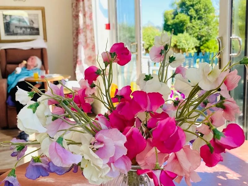Coppelia House - Nursing Home in Newton Abbot, England photo 8