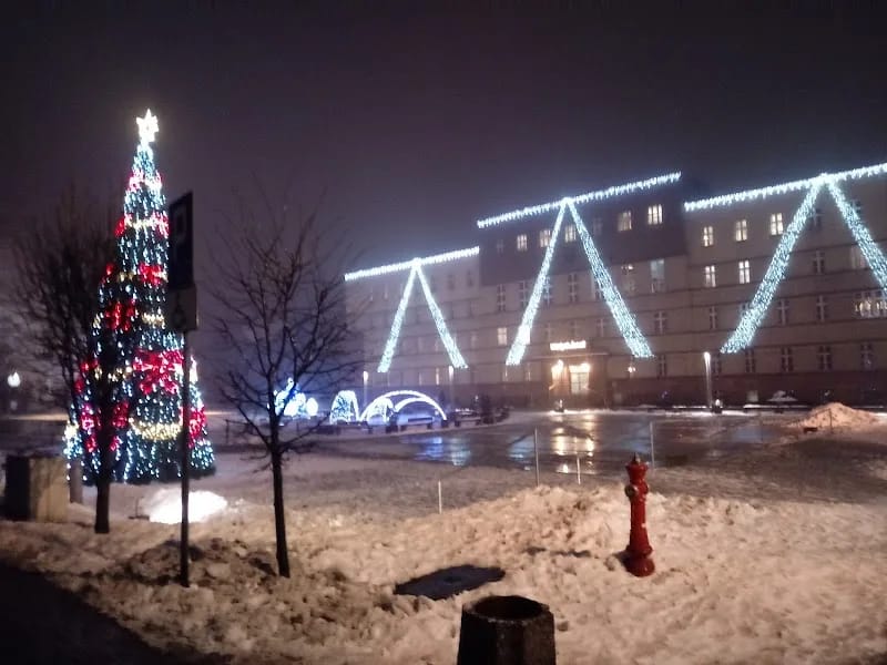 Rada Miasta Ruda Śląska - Pielęgniarstwo domowe in Ruda Śląska, Ruda Śląska photo 4