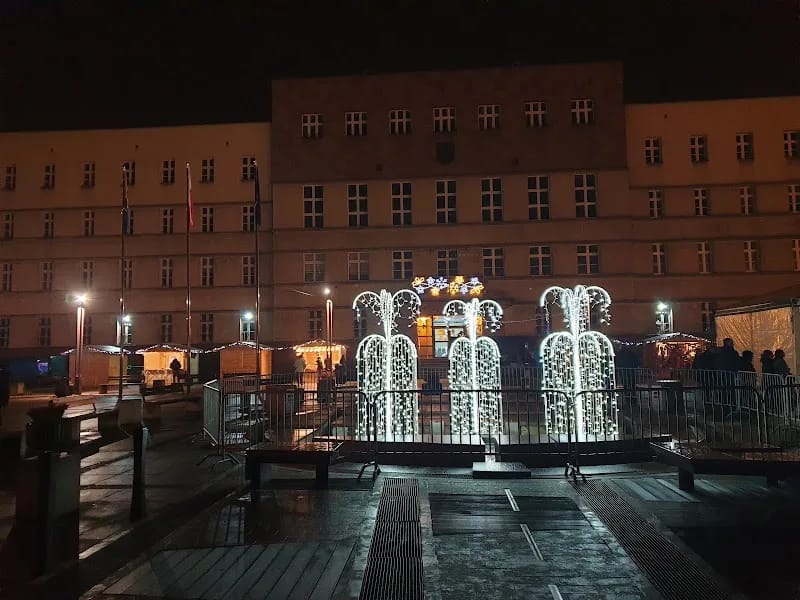 Rada Miasta Ruda Śląska - Pielęgniarstwo domowe in Ruda Śląska, Ruda Śląska photo 7