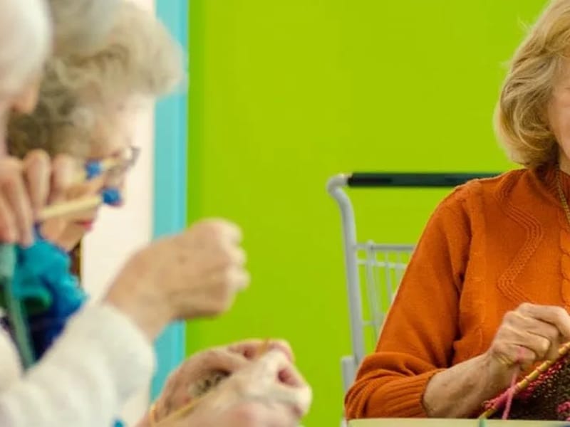 Carolina Village Inc - Assisted Living in Hendersonville, NC photo 3