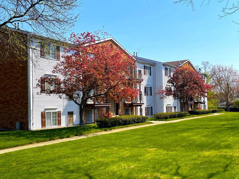 American Rose Homehealth - Home Health Nursing in Walnut Creek, CA photo 1