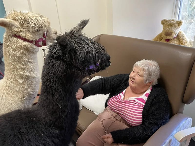 Halcyon Court Care Home - Nursing Home in Leeds, England photo 3