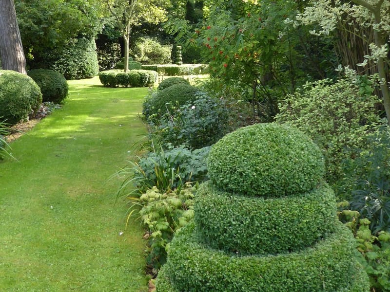 River Garden Care in Bromley, England photo 1