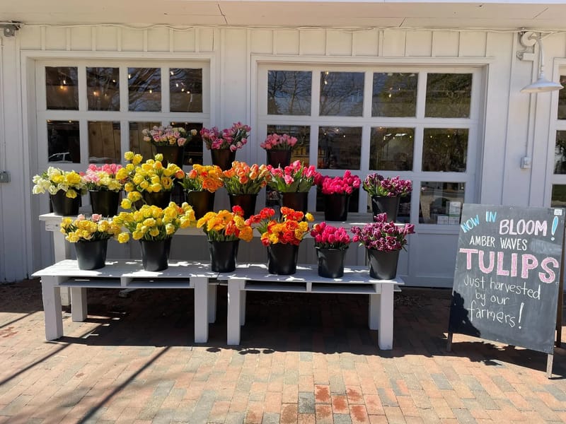 Amber Waves Alf Llc - Assisted Living in Waterville, WA photo 3