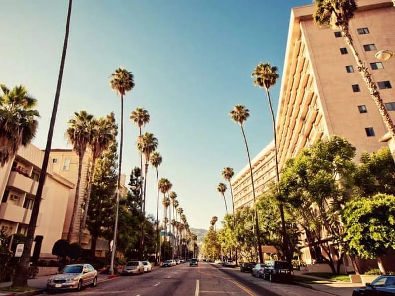 Ace Homecare LLC - Home Health Nursing in Beverly Hills, FL photo 1