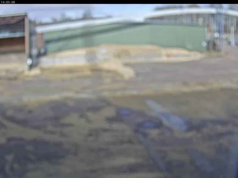 Emmagården - Äldreboende in Mora, Dalarnas län photo 3